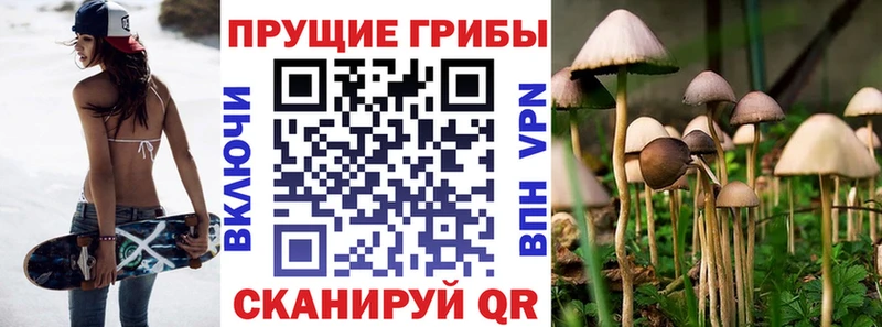 hydra маркетплейс  Брянск  Псилоцибиновые грибы мицелий 