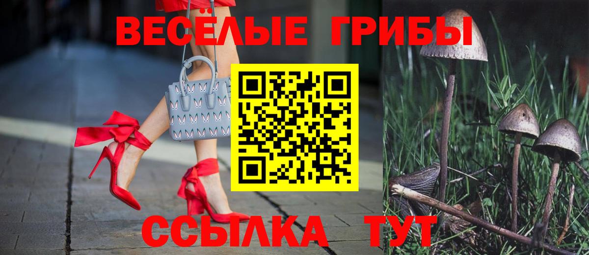 Брянск  Псилоцибиновые грибы GOLDEN TEACHER  Вход с VPN 